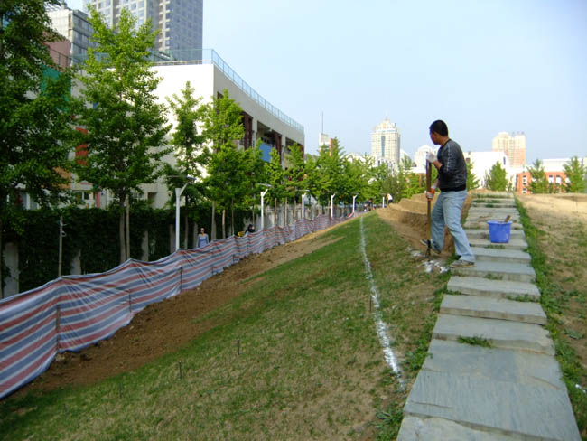 �����h(yu��n)������K���m�ߵؾG������