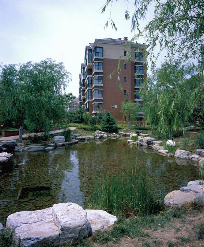 ��ɫ������