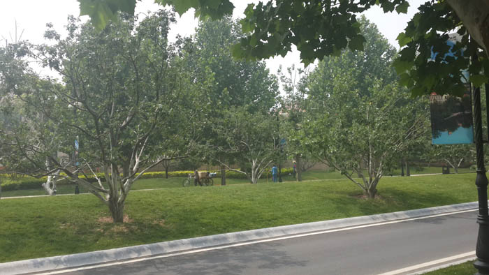 �������ܸ���˹