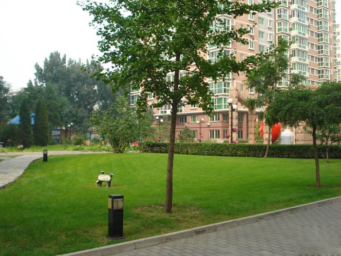 �r��֮����Է