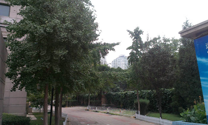 �h(yu��n)���оW(w��ng)��