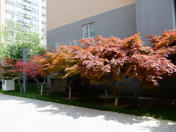 �h(yu��n)���L(f��ng)��