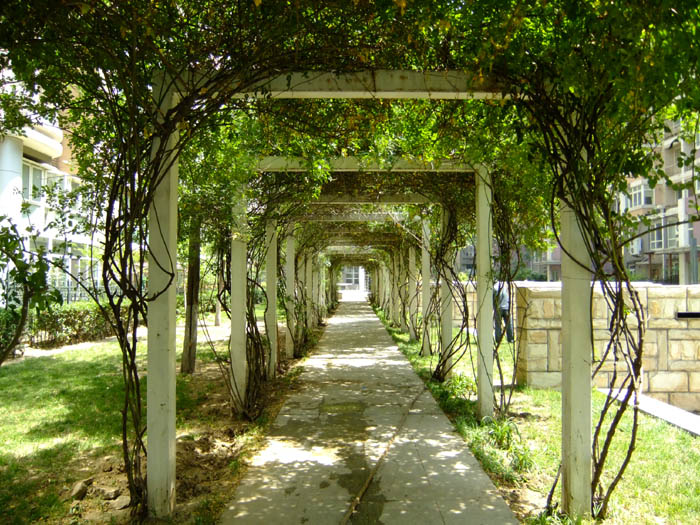 �h(yu��n)���L(f��ng)��