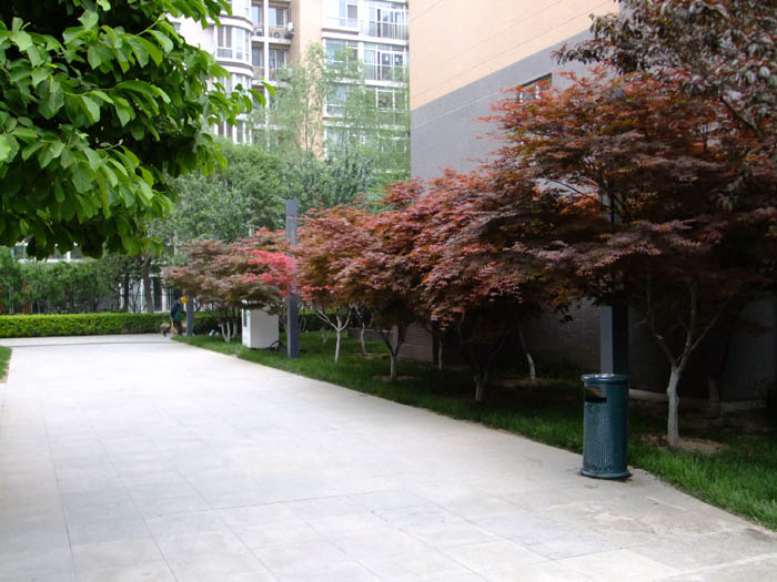 �h(yu��n)���L(f��ng)��