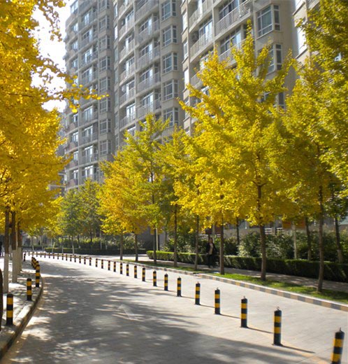 �h(yu��n)�����