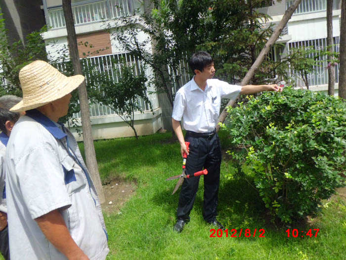 �T����Ӗ(x��n)���F(xi��n)�����I(y��)