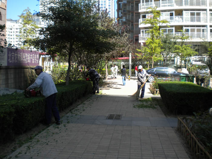 �T���F(xi��n)��(ch��ng)���I(y��)1