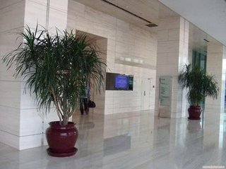 �Ѿ���ǻ�����[