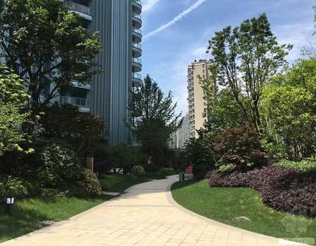 סլ���^���g�I(y��ng)���4�c(di��n)Ҫ�ؼ�ע�����(xi��ng)