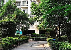 ���ڈ@�־��^�OӋ