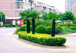 С�^(q��)�G������