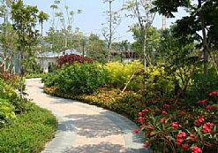 �Ƶ�G������