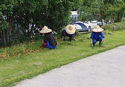 С�^(q��)�G�����B(y��ng)�o(h��)