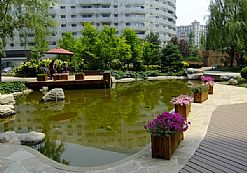 �G���B(y��ng)�o(h��)����