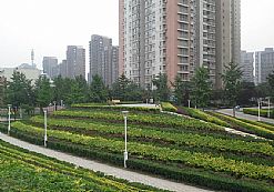 �h������K���m�ߵ�