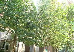 �T����Ӗ(x��n)���F(xi��n)�����I(y��)1