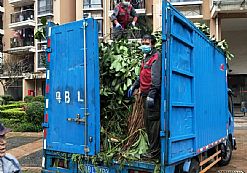 �G�������b܇���I(y��)