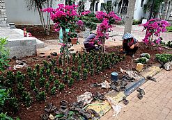 �G���B(y��ng)�o�a�N���I(y��)