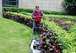 ��ƺ�޼����I(y��)